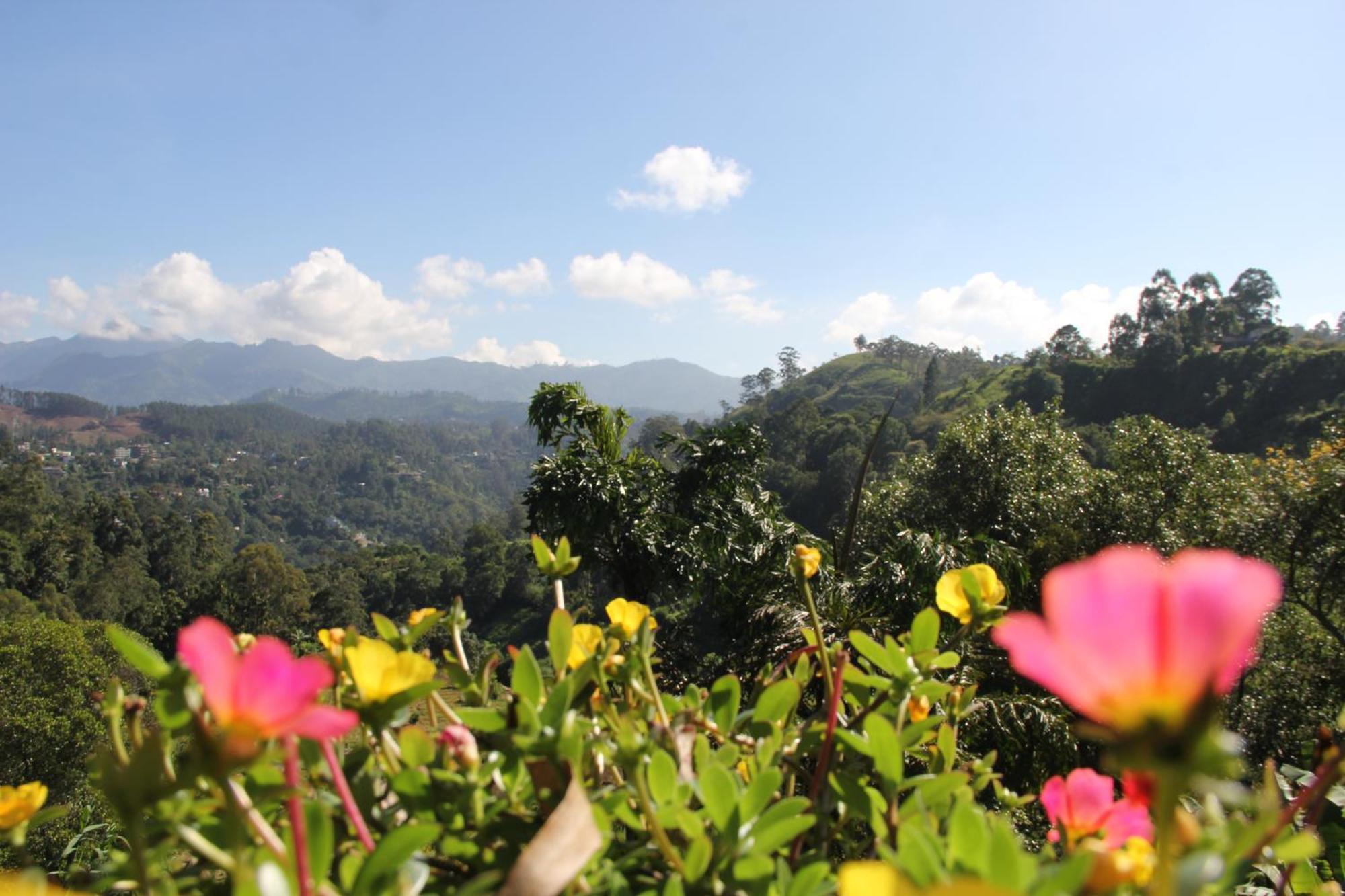Ayubowan, Ella Hotel ภายนอก รูปภาพ